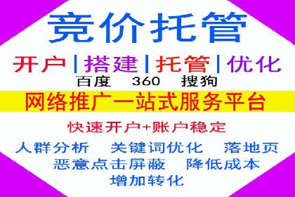 金融行业SEM推广的挑战与机遇